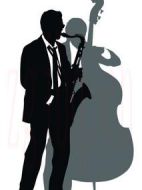 流行歌手的粉絲