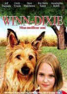 都是戴茜惹的禍