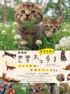 巖合光昭的貓步走世界