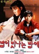 星光閃爍的夜晚