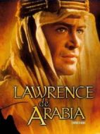 電影沙漠英雄海報(bào)