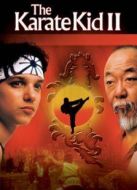 小子難纏續(xù)集