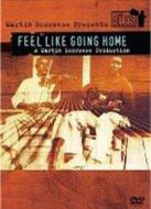 宛若歸鄉(xiāng)路