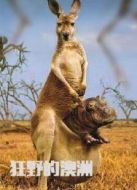 狂野的澳洲（微電影）