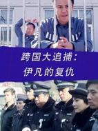 跨國大追捕：伊凡的復(fù)仇