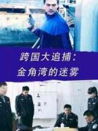 跨國(guó)大追捕：金角灣的迷霧