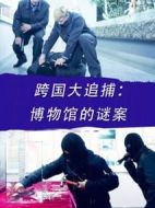 跨國大追捕：博物館的謎案