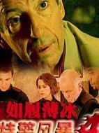 特警風(fēng)暴4：如履薄冰
