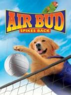 飛狗巴迪5：排球健將