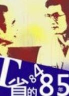 T省的84、85年