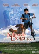 電影天降神犬2海報(bào)