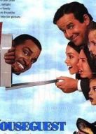 家有貴客糗事多