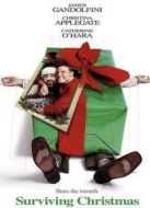 誰(shuí)來(lái)陪我過(guò)圣誕