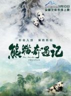 電影熊貓奇遇記海報