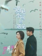 電影遇見(jiàn)不同的遇見(jiàn)海報(bào)