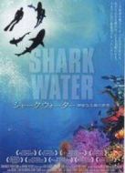 鯊魚海洋