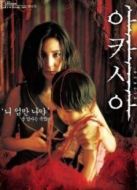 洋槐合歡開放之時