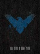 電影夜翼海報
