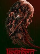 柳樹(shù)街鬼屋