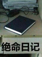 電影絕命日記海報
