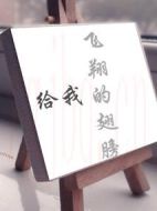 給我飛翔的翅膀