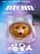 3個(gè)滿月小奶貓開車上路啦