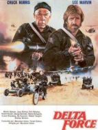 三角洲突擊隊(duì)