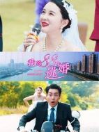 電影我的88次逃婚海報