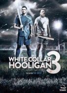 白領(lǐng)流氓3
