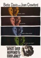 電影蘭閨驚變海報(bào)