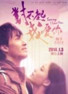 對不起，我愛你 （2014）