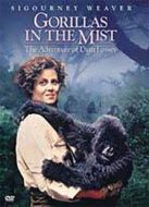 迷霧森林十八年