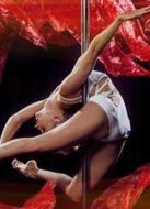 浴火鳳凰之鋼管女郎