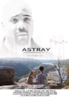 誤入歧途（美國(guó)）