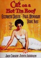 熱鐵皮屋頂上的貓