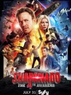 鯊卷風(fēng)4:四度覺醒