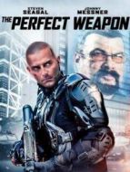 電影未來殺手（2016）海報(bào)