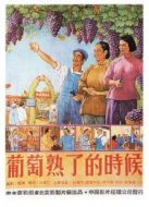 葡萄熟了的時候