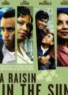 陽光下的葡萄干