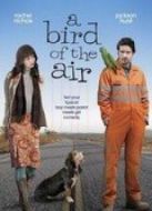 愛(ài)情鳥(niǎo)日子