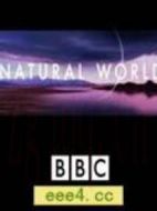 自然世界：螞蟻攻擊