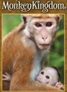 獼猴王國
