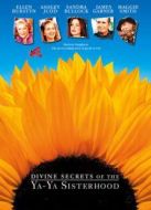 丫丫姐妹會的神圣秘密