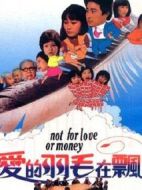 愛(ài)的羽毛在飄