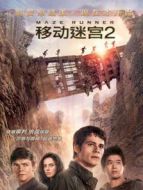 移動(dòng)迷宮2（普通話）