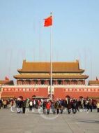 電影TAM之春海報(bào)