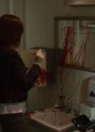 血緣關系（2009）