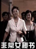 非常女秘書(shū)