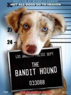 獵犬強(qiáng)盜