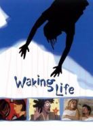 半夢(mèng)半醒的人生